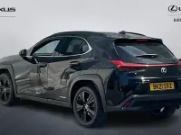 Used Lexus UX 250h 184 HP (135 kW) 2024 SUV