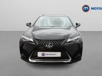 Used Lexus UX 184 HP (135 kW) 2024 SUV