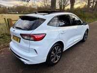Used Ford Kuga ST-Line X 120 HP (88 kW) 2022 White SUV