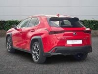 Used Lexus UX 250h 2021 Red SUV