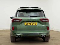 Usado Ford Kuga ST-Line 242 HP (177 kW) 2026 SUV
