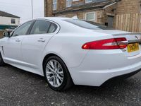 Used Jaguar XF 200 HP (147 kW) 2013 White Sedan