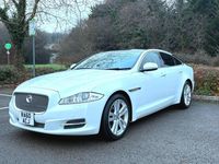 Used Jaguar XJ 2025 White Sedan