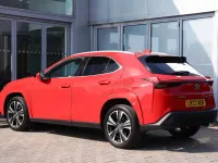 Used Lexus UX 250h 180 HP (132 kW) 2023 Red SUV