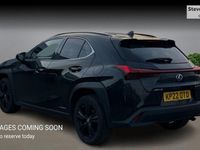 Used Lexus UX 250h 184 HP (135 kW) 2024 SUV
