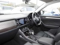 Used Skoda Kodiaq SE L Executive 147 HP (108 kW) 2024 Petrol blue metallic SUV