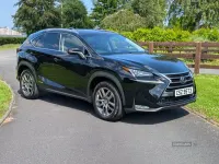 Used Lexus NX300h Luxury Line 197 HP (144 kW) 2015 Black SUV