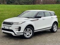 Used Land Rover Range Rover evoque R-Dynamic 309 HP (227 kW) 2021 White SUV