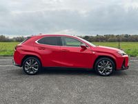 New Lexus UX 300h Sport Line 2025 SUV