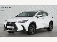Used Lexus NX350h 239 HP (175 kW) 2022 White SUV