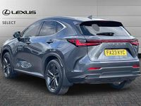 Used Lexus NX350h 245 HP (180 kW) 2023 Grey SUV