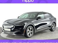 Used Ford Mustang Mach-E Standard Range 189 kW (258 HP) 2021 SUV