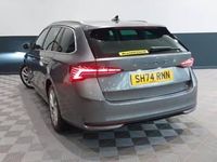 Used Skoda Octavia SE L 150 HP (110 kW) 2024 Grey Estate