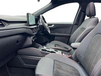 Second-hand Ford Kuga ST-Line X 183 CP (134 kW) 2025 Verde SUV