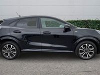 Used Ford Puma ST-Line 125 HP (91 kW) 2023 Black SUV