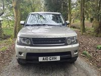 Used Land Rover Range Rover SE 2011 Gold SUV