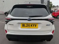 Used Subaru Forester 2025 White SUV