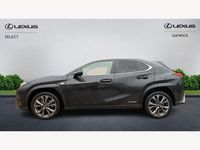 Used Lexus UX 250h Sport Line 2022 Black SUV