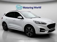 Used Ford Kuga ST-Line X 225 HP (165 kW) 2023 White SUV