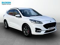 Used Ford Kuga ST-Line 225 HP (165 kW) 2020 White SUV
