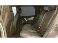 New Land Rover Discovery Sport SE Dynamic 265 HP (194 kW) 2025 Other SUV