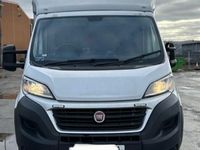 Used Fiat Ducato 130 HP (95 kW) 2018 White Van