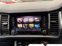 Used Skoda Kodiaq SE 150 HP (110 kW) 2022 Blue SUV