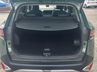 Used Kia Sportage 230 HP (169 kW) 2023 Green SUV