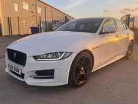Used Jaguar XE R-Sport 250 HP (183 kW) 2019 White Sedan