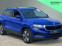 Used Skoda Karoq SE Drive 150 HP (110 kW) 2022 Blue SUV