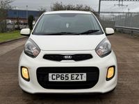 Used Kia Picanto 65 HP (47 kW) 2016 White Hatchback