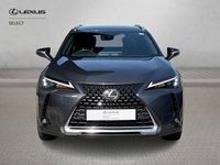 Used Lexus UX 250h 2023 Grey SUV