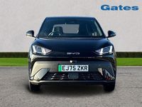 New BYD Dolphin Boost 64 kW (88 HP) 2025 Black Hatchback