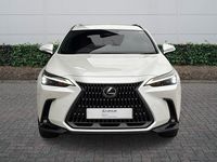 Used Lexus NX450h+ 2025 White SUV