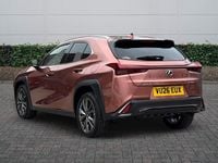 New Lexus UX 300h Sport Design Packet 199 HP (146 kW) 2026 SUV