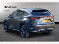 Used Lexus NX450h+ Sport Line 306 HP (225 kW) 2023 Grey SUV