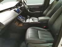 Used Land Rover Range Rover evoque Autobiography 309 HP (227 kW) 2023 White SUV