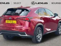 Used Lexus NX300h 197 HP (144 kW) 2020 Red SUV