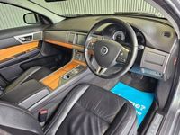 used Jaguar XF 3.0d V6 Luxury 4dr Auto