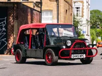 Used Austin Mini 48 HP (35 kW) 1990 Green