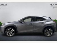Used Lexus UX 250h 184 HP (135 kW) 2024 SUV