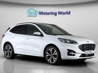 Used Ford Kuga ST-Line X 150 HP (110 kW) 2023 White SUV