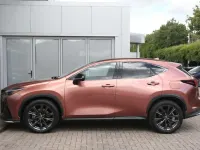 Used Lexus NX450h+ Sport Line 301 HP (221 kW) 2024 Other SUV