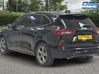 Used Ford Kuga ST-Line 179 HP (131 kW) 2026 SUV