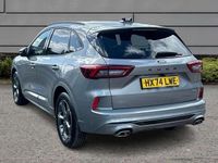 Used Ford Kuga ST-Line 177 HP (130 kW) 2024 Silver SUV