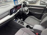 Used VW Golf VIII 150 HP (110 kW) 2023