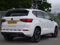 Used Cupra Ateca 150 HP (110 kW) 2024 White SUV