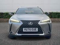 Used Lexus UX 300h 2025 Silver SUV