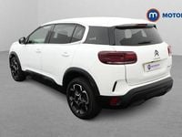 Used Citroën C5 PureTech 131 HP (96 kW) 2023 White Hatchback