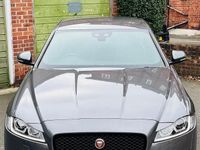 Used Jaguar XF R-Sport 179 HP (131 kW) 2020 Sedan